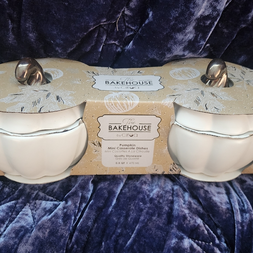 Set of 2 mini Pumpkin casserole dishes